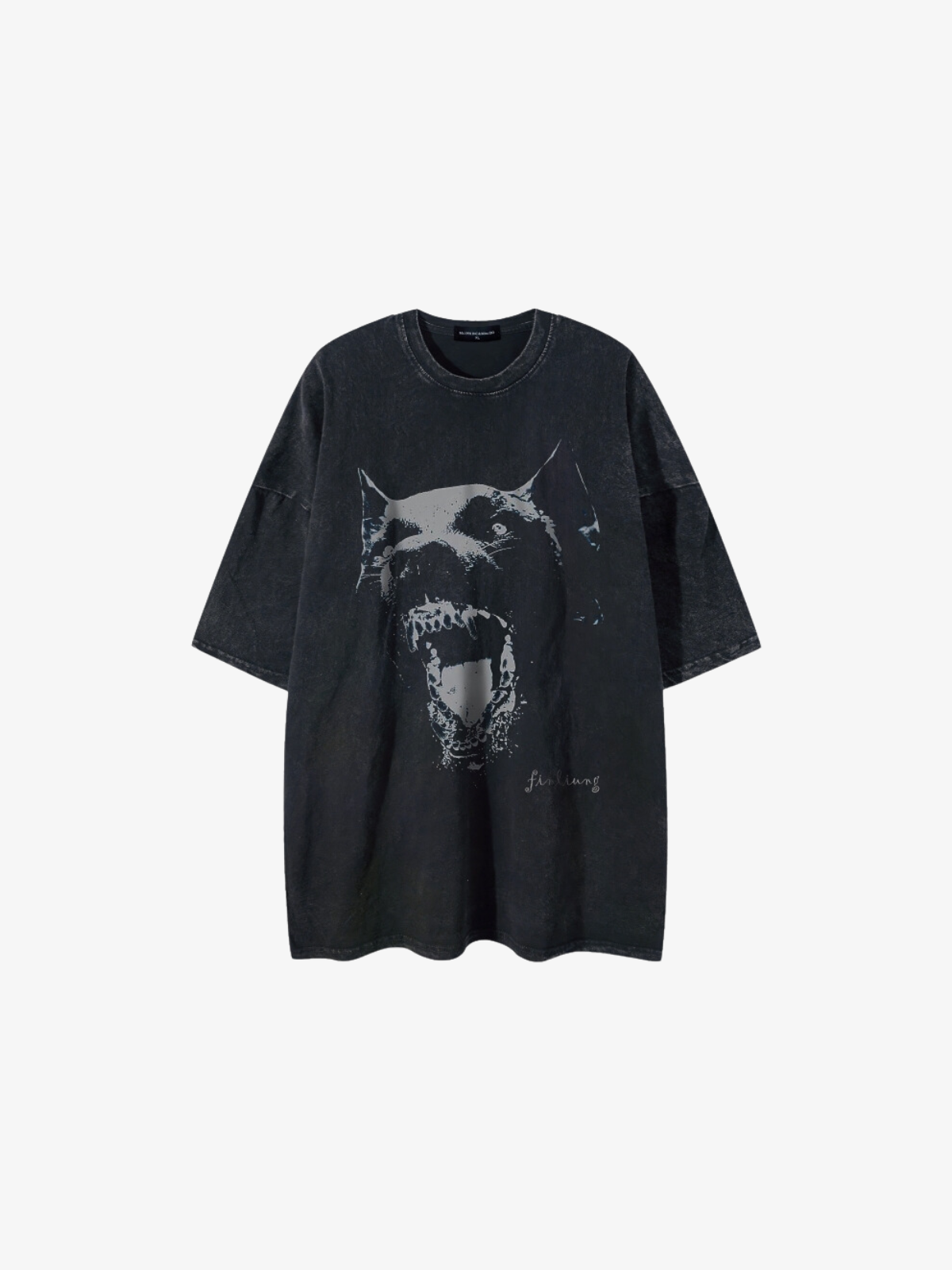 KG Doberman Wash Graphic T-Shirt