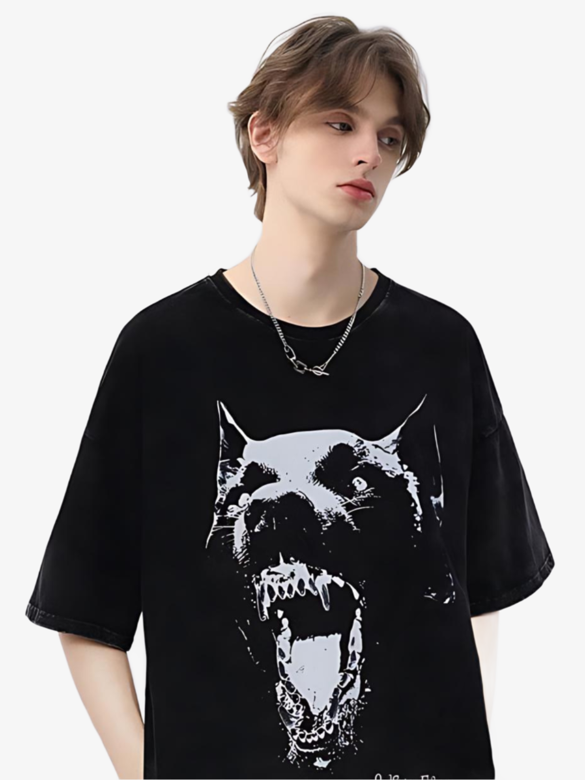 KG Doberman Wash Graphic T-Shirt